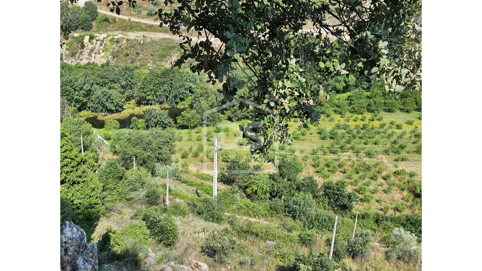 Quinta