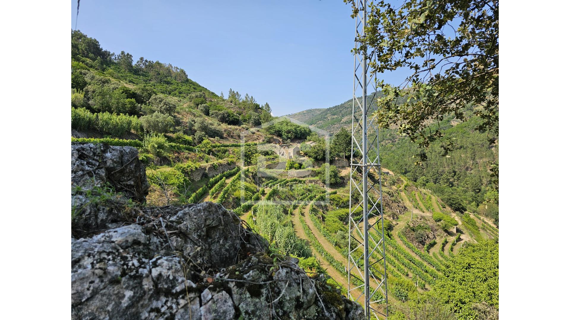 Quinta